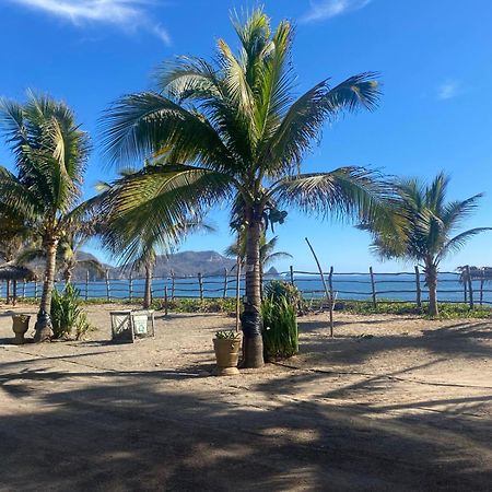 Bungalows Laguna Del Tule سان باتريسيو ميلاكي المظهر الخارجي الصورة