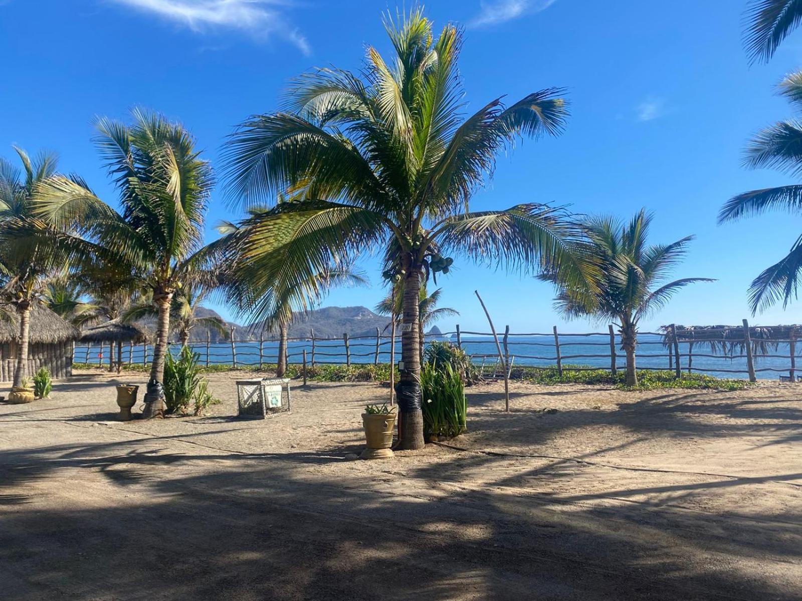 Bungalows Laguna Del Tule سان باتريسيو ميلاكي المظهر الخارجي الصورة